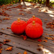 Солодкий аромат Toasted Pumpkin Spice це ідеальний вибір для осінніх вечорів